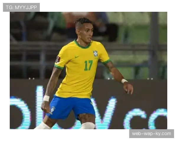 哥伦比亚防守稳定性分析：南美预选赛失球数与防守组织